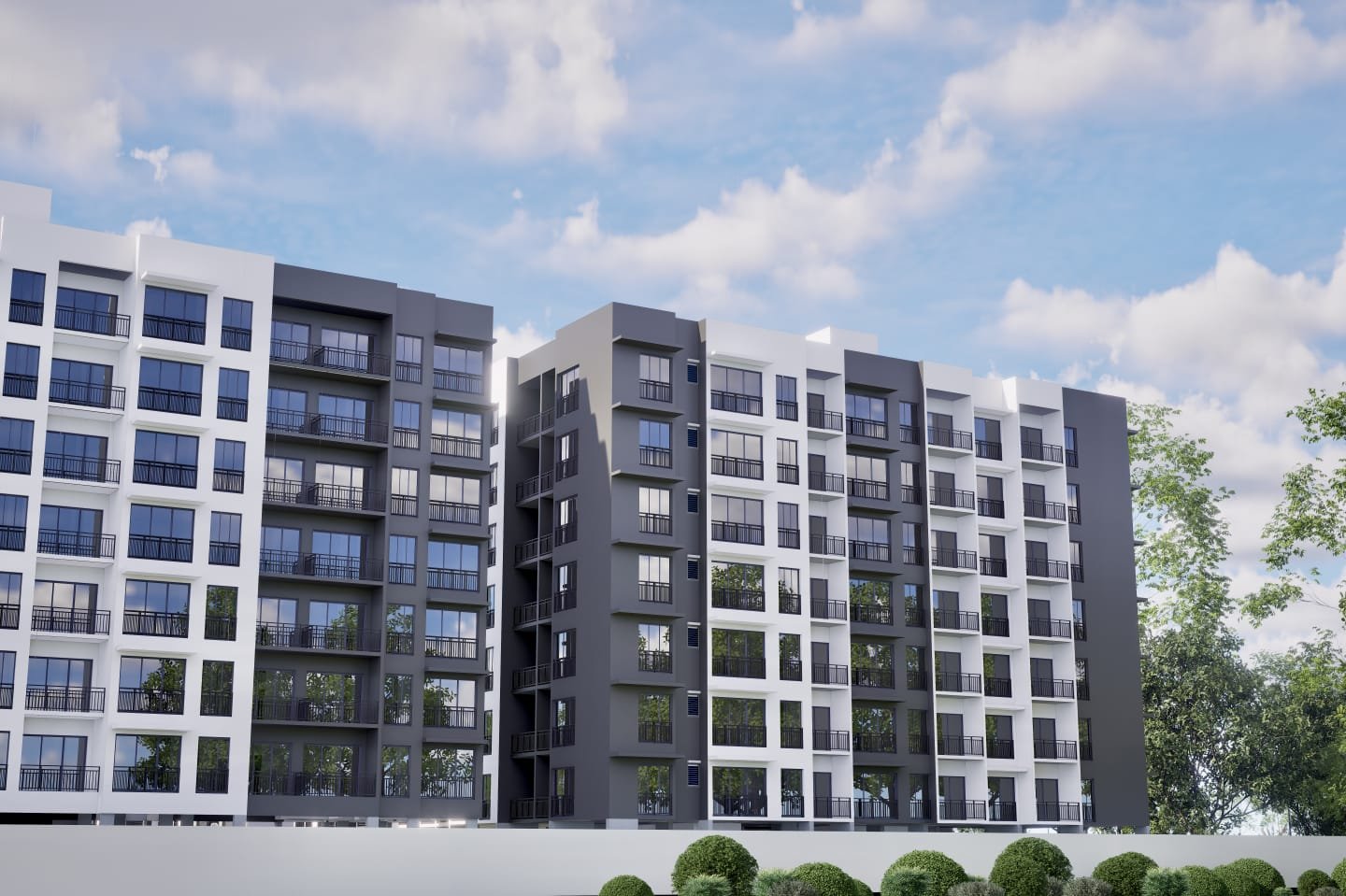 WhatsApp Image 2025-10-08 at 3.55.35 PM (2)